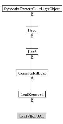 LeafVIRTUAL-inheritance